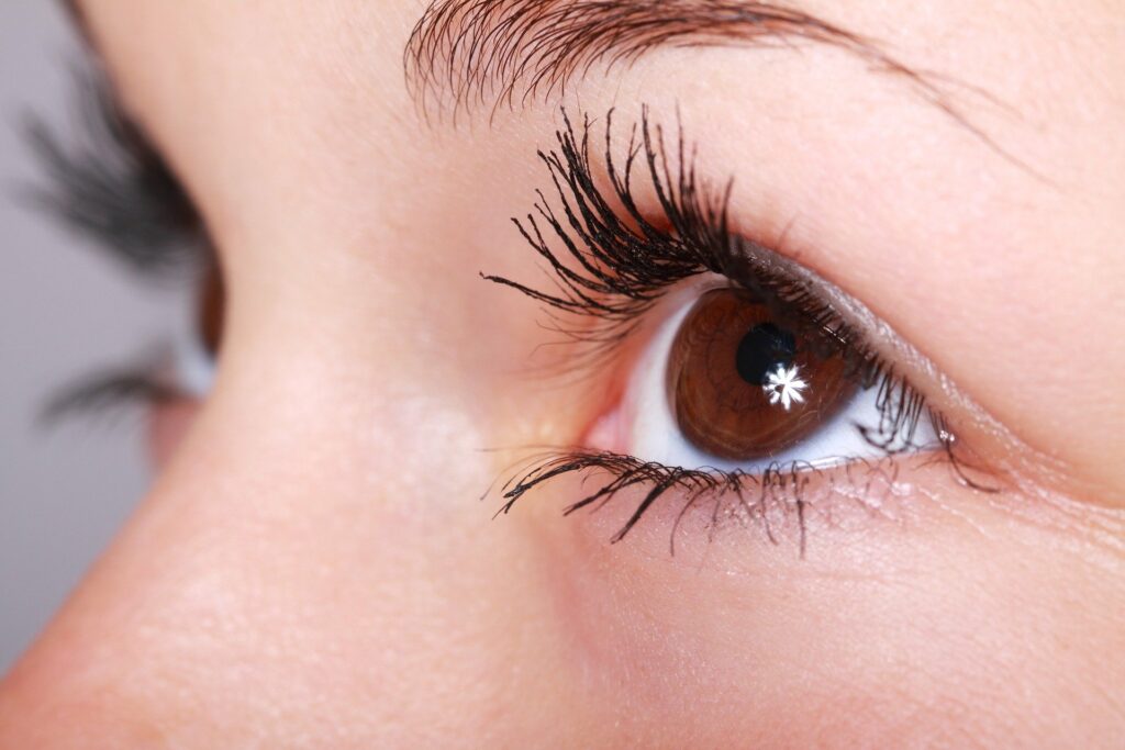 aesthetic eyebrow shaping and eyelash tinting